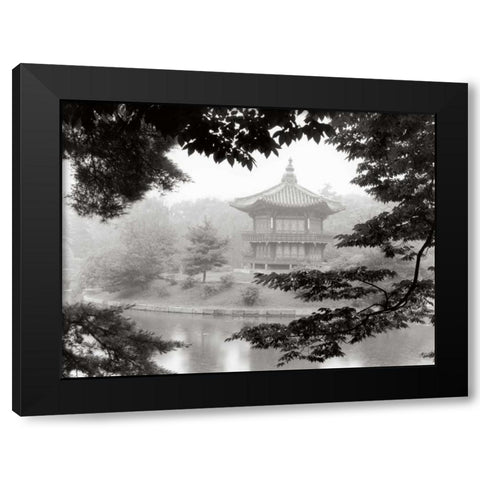 Lotus Pavillion I Black Modern Wood Framed Art Print with Double Matting by Nagler, Monte