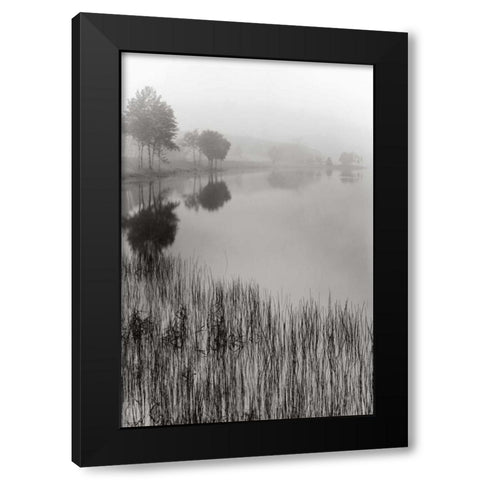 Lakeside Mist Black Modern Wood Framed Art Print by Nagler, Monte