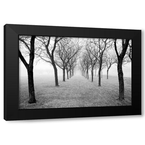 Tunnel of Trees Black Modern Wood Framed Art Print with Double Matting by Nagler, Monte