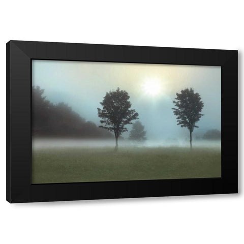 Sunburst Black Modern Wood Framed Art Print with Double Matting by Nagler, Monte