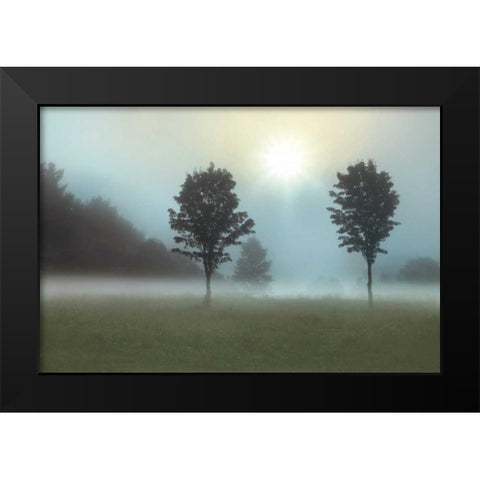 Sunburst Black Modern Wood Framed Art Print by Nagler, Monte