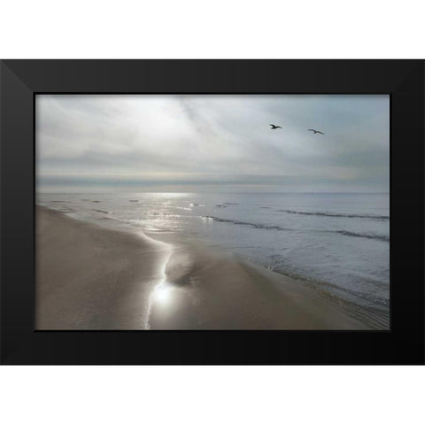 Beach Flight Black Modern Wood Framed Art Print by Nagler, Monte