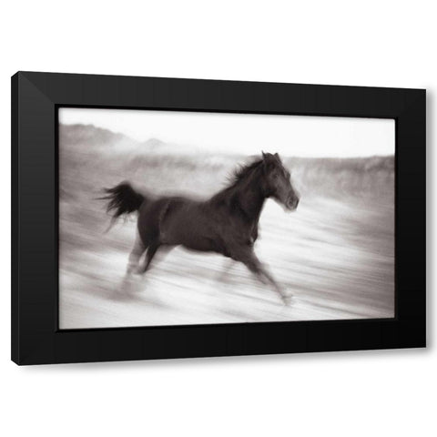 Americana Black Modern Wood Framed Art Print by OMara, James
