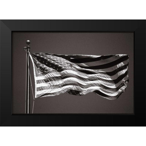 Americana Black Modern Wood Framed Art Print by OMara, James