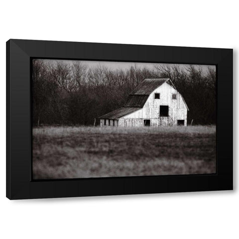Americana Black Modern Wood Framed Art Print with Double Matting by OMara, James