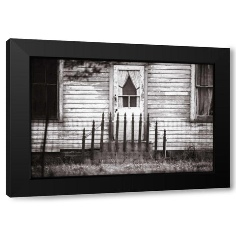 Americana Black Modern Wood Framed Art Print by OMara, James