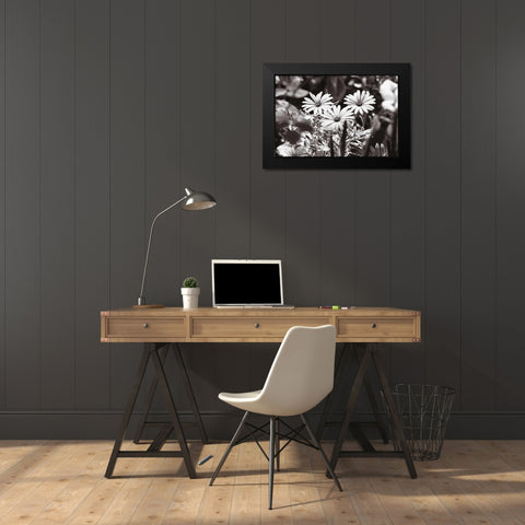 Americana Black Modern Wood Framed Art Print by OMara, James