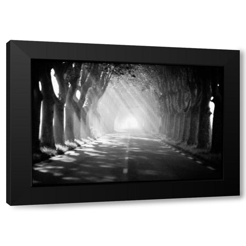 Provence Black Modern Wood Framed Art Print with Double Matting by OMara, James