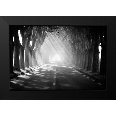 Provence Black Modern Wood Framed Art Print by OMara, James