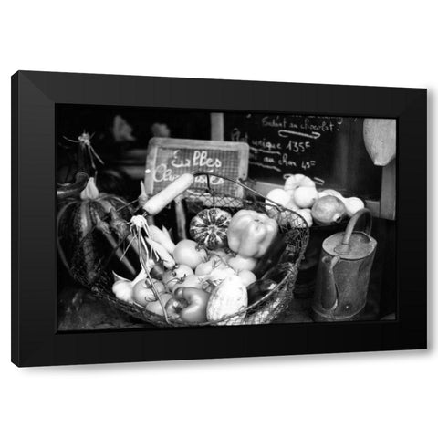 Provence Black Modern Wood Framed Art Print with Double Matting by OMara, James