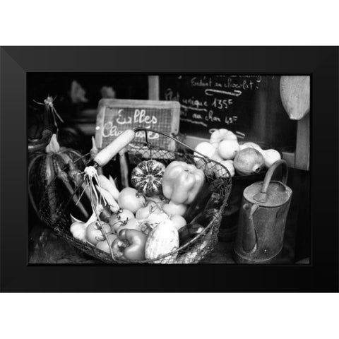 Provence Black Modern Wood Framed Art Print by OMara, James