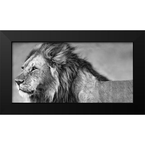 Lion Eyes Black Modern Wood Framed Art Print by Ortega, Xavier