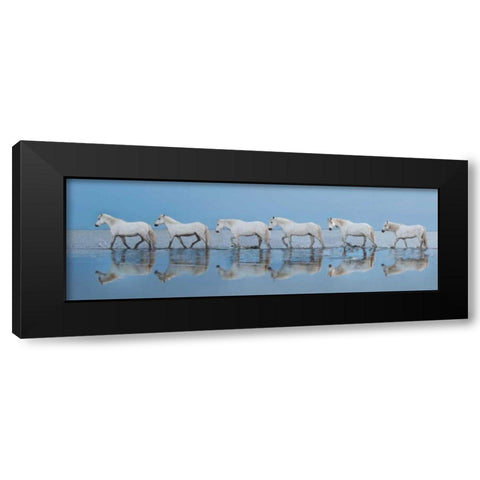 Walk On Black Modern Wood Framed Art Print with Double Matting by Ortega, Xavier