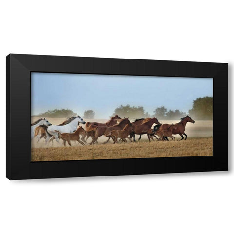 Freedom Black Modern Wood Framed Art Print by Ortega, Xavier