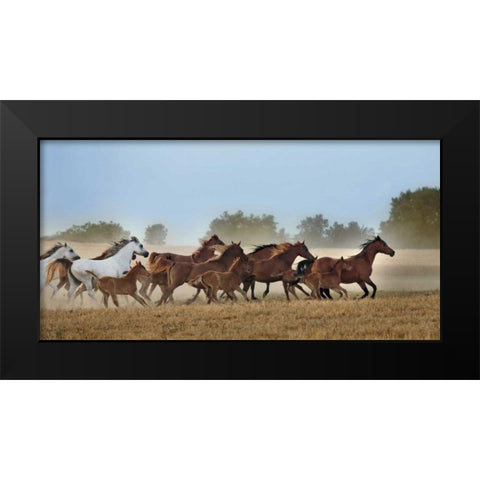 Freedom Black Modern Wood Framed Art Print by Ortega, Xavier