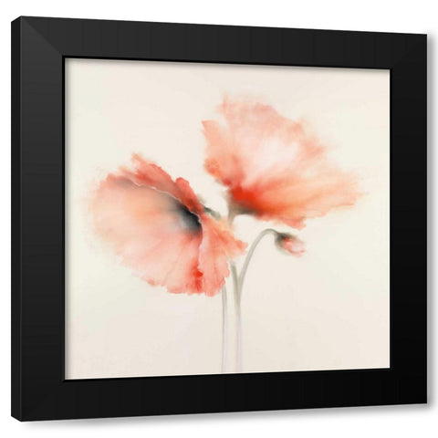 Pink Chiffon I Black Modern Wood Framed Art Print by Prior, J.P.