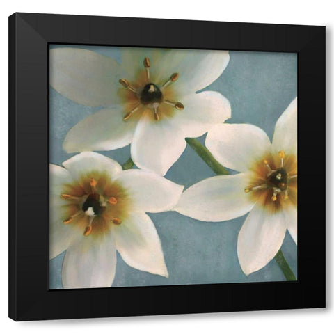 Lily Parfait I Black Modern Wood Framed Art Print with Double Matting by Pahl, Janel