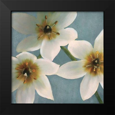 Lily Parfait I Black Modern Wood Framed Art Print by Pahl, Janel