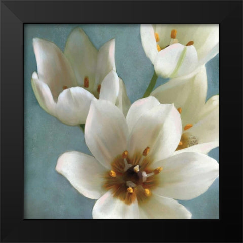 Lily Parfait II Black Modern Wood Framed Art Print by Pahl, Janel