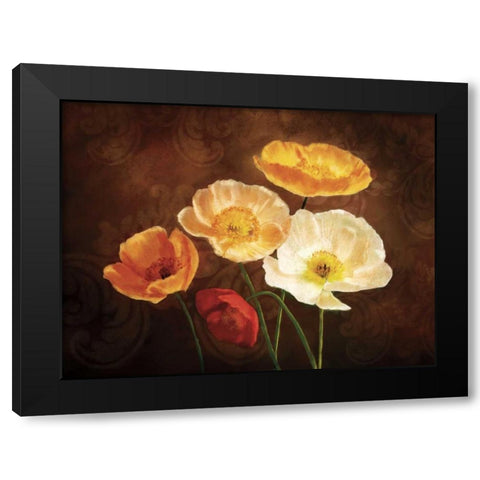 Poppy Perfection II Black Modern Wood Framed Art Print with Double Matting by Pahl, Janel