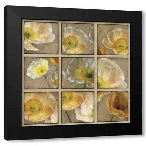 Shades of Poppies Black Modern Wood Framed Art Print with Double Matting by Pahl, Janel