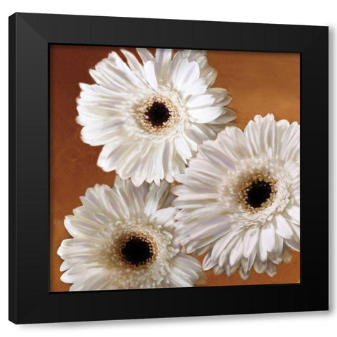 Gerber Delight II Black Modern Wood Framed Art Print by Pahl, Janel