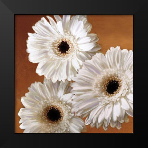 Gerber Delight II Black Modern Wood Framed Art Print by Pahl, Janel