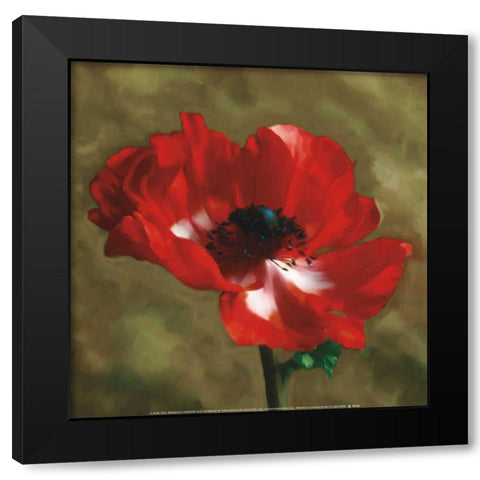Brilliance II Black Modern Wood Framed Art Print with Double Matting by Pahl, Janel