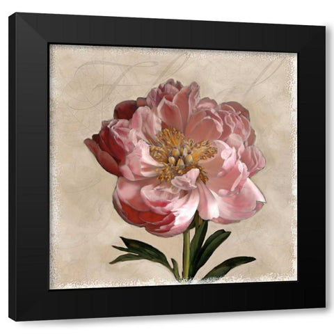 Peony I Black Modern Wood Framed Art Print by Pahl, Janel