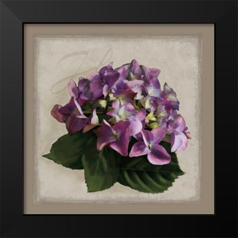 Botanical Hydrenga Black Modern Wood Framed Art Print by Pahl, Janel