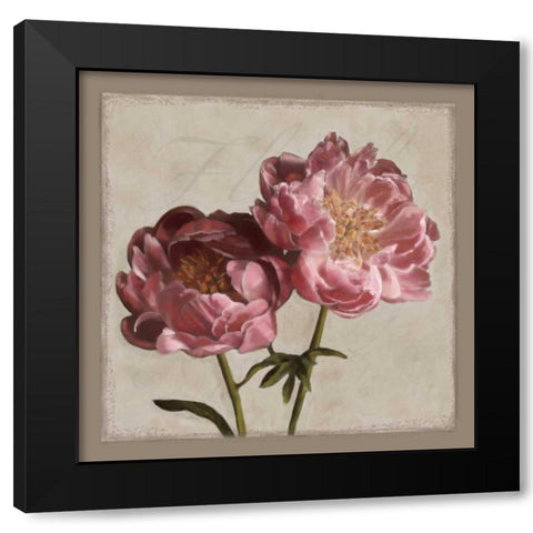 Botanical Peony Black Modern Wood Framed Art Print by Pahl, Janel