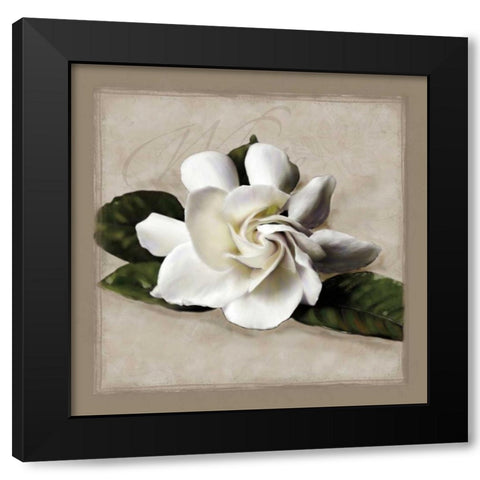 Botanical Gardenia Black Modern Wood Framed Art Print by Pahl, Janel