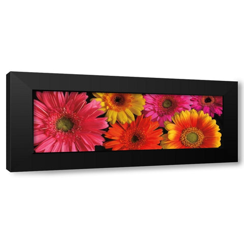 Simply Spring Black Modern Wood Framed Art Print by Pahl, Janel