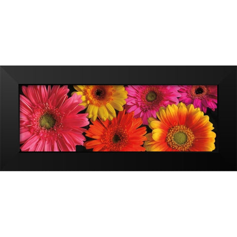 Simply Spring Black Modern Wood Framed Art Print by Pahl, Janel