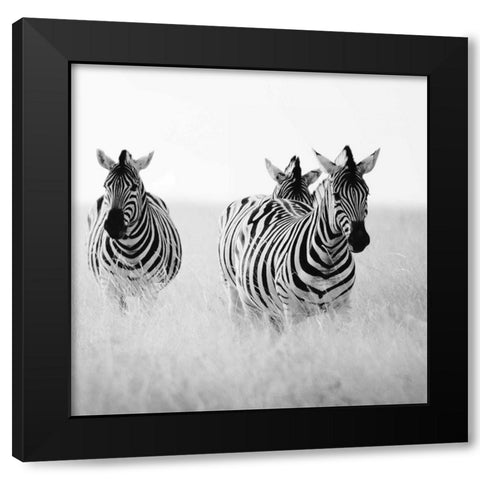 Rendezvous I Black Modern Wood Framed Art Print by Papiorek, Nina