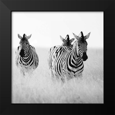 Rendezvous I Black Modern Wood Framed Art Print by Papiorek, Nina