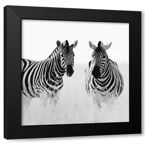 Rendezvous II Black Modern Wood Framed Art Print with Double Matting by Papiorek, Nina
