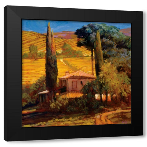 Tuscan Morning Light Black Modern Wood Framed Art Print by Craig, Philip