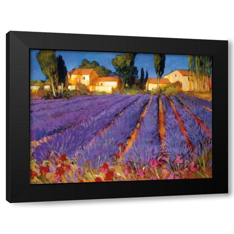 Late Afternoon, Lavender Fields Black Modern Wood Framed Art Print with Double Matting by Craig, Philip