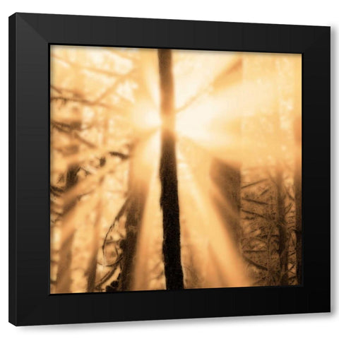 Epiphany II Black Modern Wood Framed Art Print with Double Matting by Pelkey, Marvin