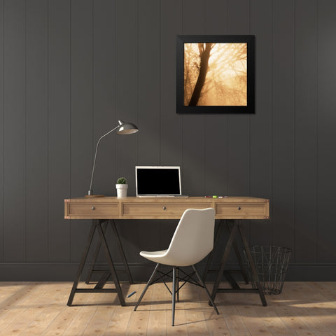 Epiphany III Black Modern Wood Framed Art Print by Pelkey, Marvin