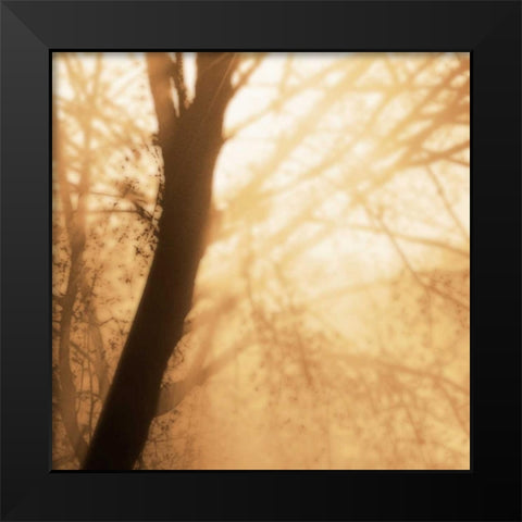 Epiphany III Black Modern Wood Framed Art Print by Pelkey, Marvin