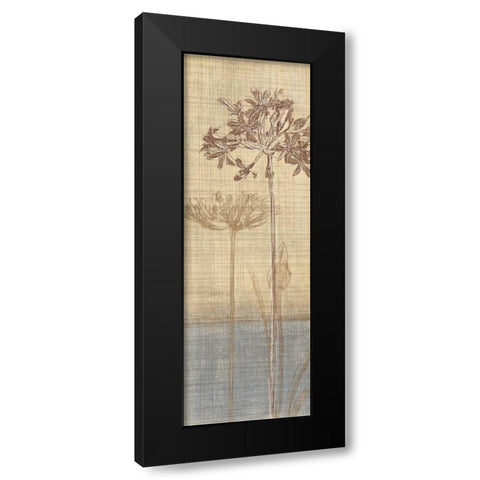 Botanical Sketchbook II Black Modern Wood Framed Art Print with Double Matting by Venter, Tandi