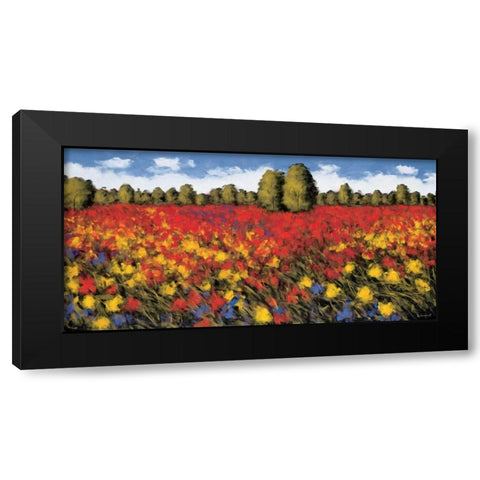 Summer Splendor Black Modern Wood Framed Art Print by Leidenfrost, Wayne