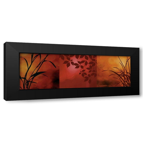 Views of Nature I Black Modern Wood Framed Art Print with Double Matting by Aparicio, Edward
