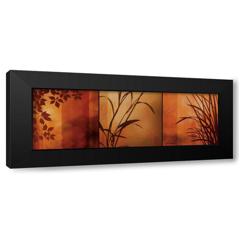 Views of Nature II Black Modern Wood Framed Art Print with Double Matting by Aparicio, Edward