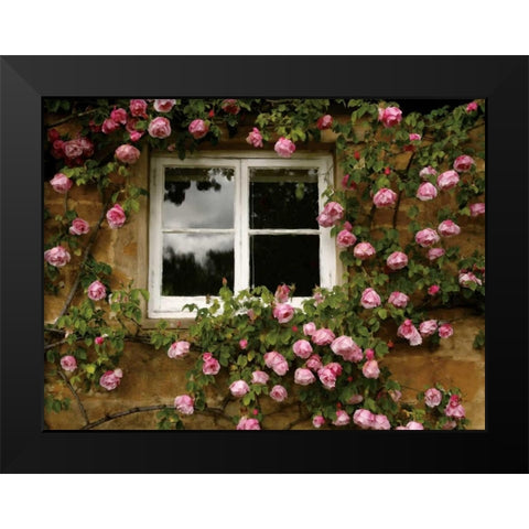 Costwalds Rose Black Modern Wood Framed Art Print by Pahl, Janel
