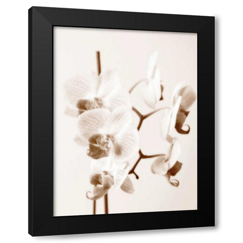 No Boundaries I Black Modern Wood Framed Art Print by Szilagyi, lly