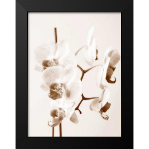 No Boundaries I Black Modern Wood Framed Art Print by Szilagyi, lly