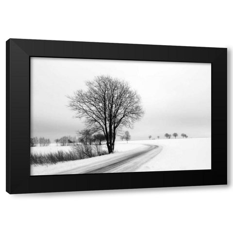 The Way Home Black Modern Wood Framed Art Print by Szilagyi, lly